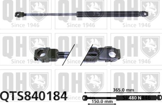 QUINTON HAZELL QTS840184 Baklukedemper