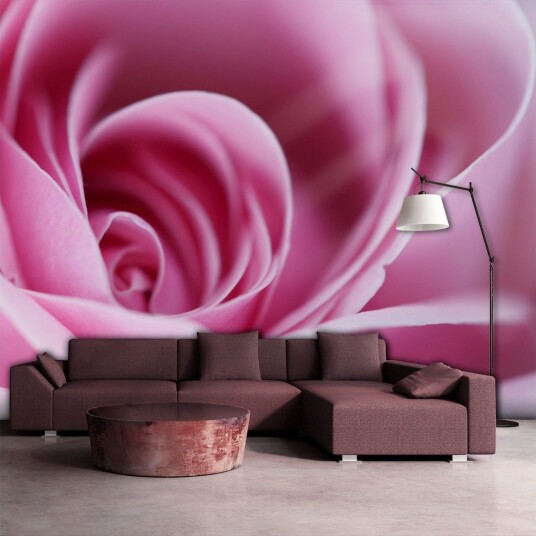 Fototapet Pink Rose 200x154 - Artgeist sp. z o. o.