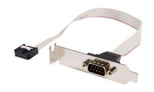 StarTech.com 9-pin Serial to 10-pin Motherboard Header LP Slot Plate - seriell panel