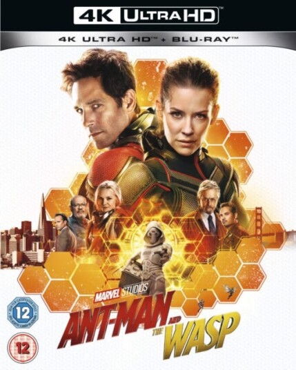 AntMan And The Wasp AntMan And The Wasp