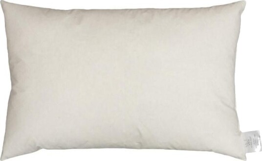 Norsk Dun Innleggspute 30x50