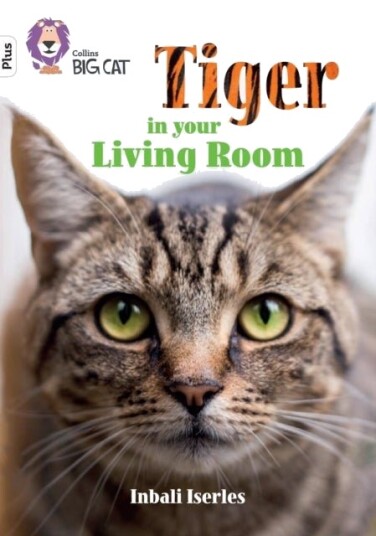 Tiger in Your Living Room Tiger in Your Living Room