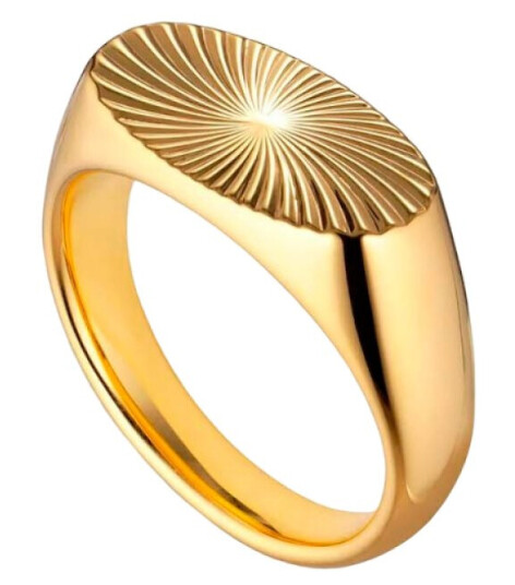 Jane Kønig Reflection Signet Blank Ring 18 kt. Gullbelagt sølv RSR01-G-AW2000_54 - Unisex - 925 sterling silver