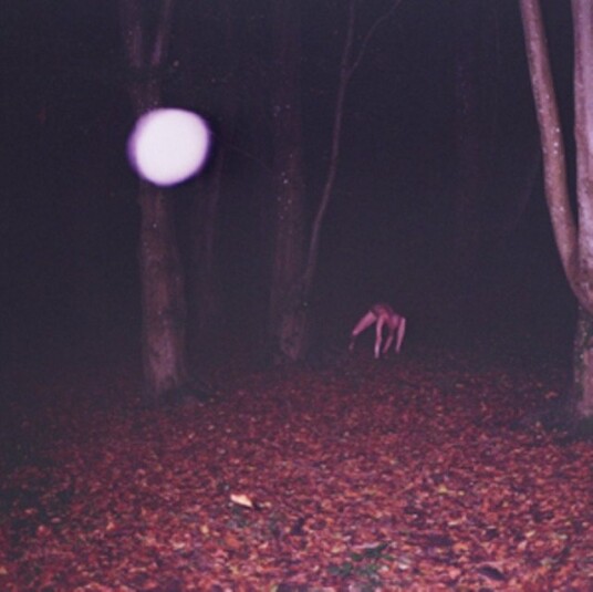 Buzzard Buzzard Buzzard Skinwalker Uk Vinyl Buzzard Buzzard Buzzard Skinwalker Uk Vinyl
