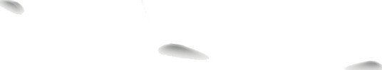Oakley Radar EV Path Replacement Lens