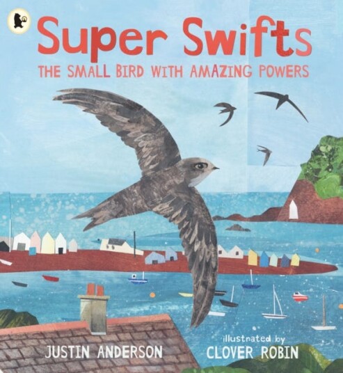 Super Swifts: The Small Bird With Amazing Powers Super Swifts: The Small Bird With Amazing Powers
