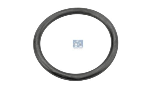 DT Spare Parts 6.30068 Pakning vannpumpe