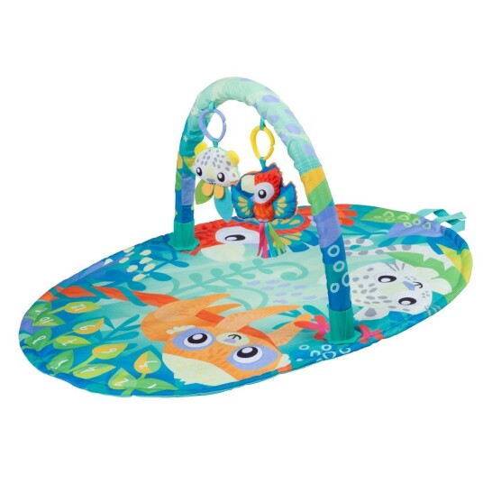 PLAYGRO Mighty Milestones Play Gym 10188673