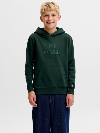 Jack & Jones Jorfrederiksberg Monogram Sweat Hood Jn Green 176