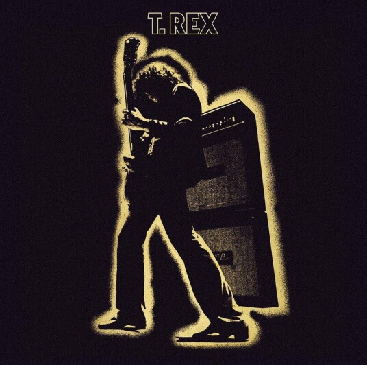 Electric Warrior Vinyl