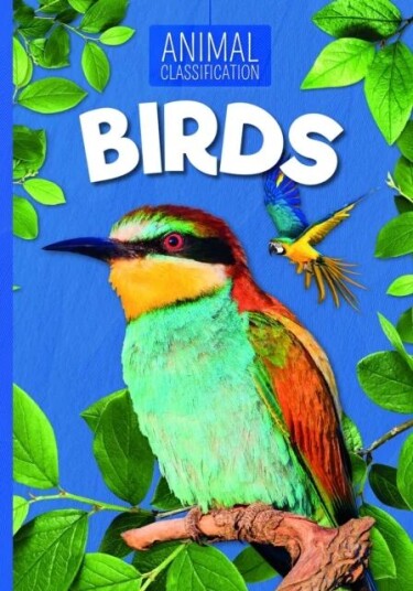 Birds Av Charlie Ogden