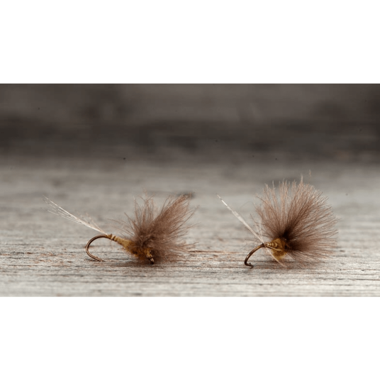 Midgar Døgnfluer CDC Comparaduns bwo Golden Olives #12