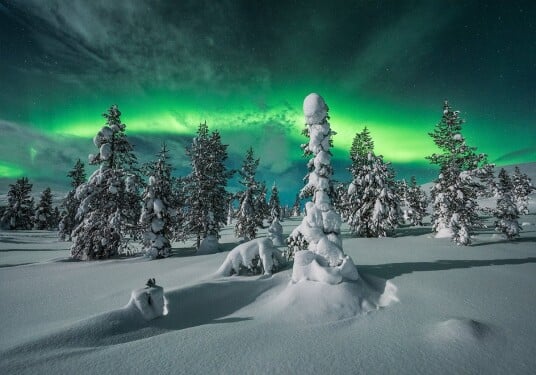 polar night Poster Plakat / 21x30cm