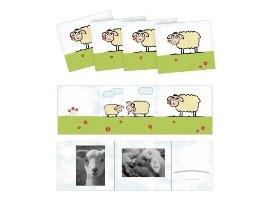Daiber 13325 13325 Fotohylster Multicolor 13 X 18 Cm Daiber 13325 13325 Fotohylster Multicolor 13 X 18 Cm