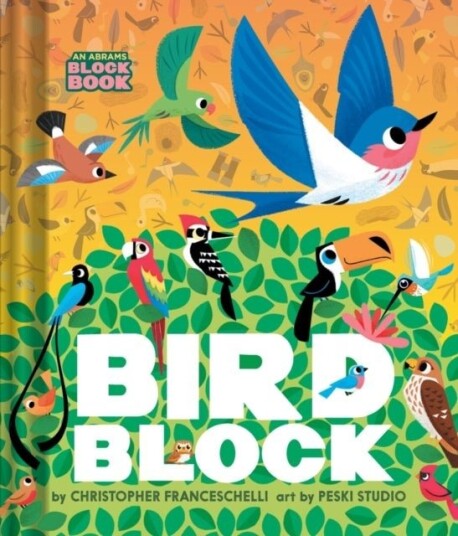 Birdblock An Abrams Block Book