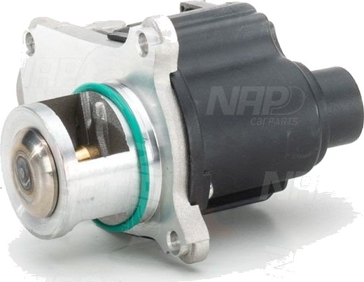 EGR ventil NAP carparts CAV10126 EGR ventil NAP carparts CAV10126