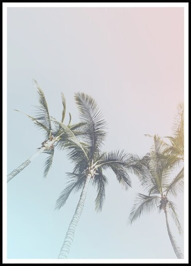 Pastel Palms Bliss Plakat Plakat / 40x50cm