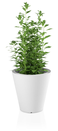 Selgro Design blomsterpotte MONUMO OVO Hvit