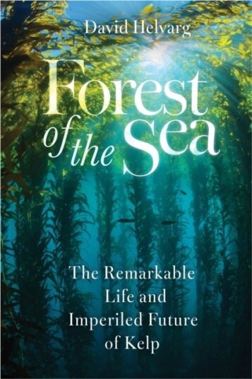 Forest of the Sea Forest of the Sea