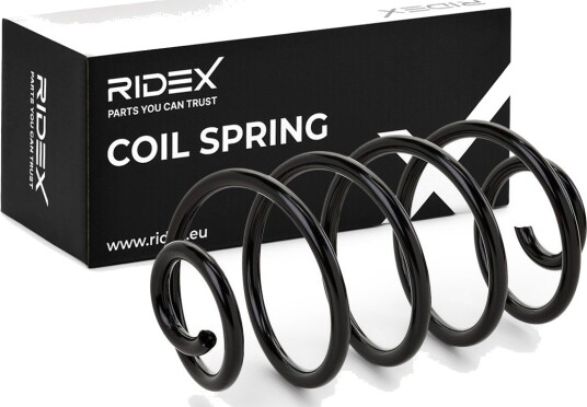 RIDEX 188C0054 Fjær