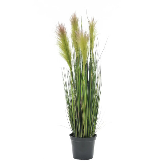 Europalms Feather Grass, Rosa, 90cm