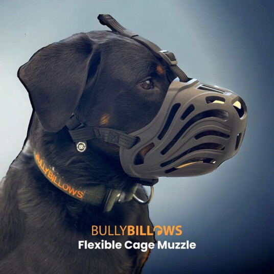 Bullybillows Munnkurv Svart Xl Bullybillows Munnkurv Svart Xl
