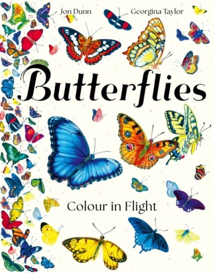 Butterflies Colour in Flight