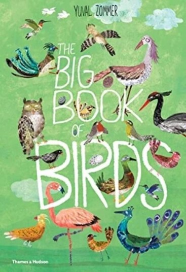 The Big Book Of Birds Av Yuval Zommer