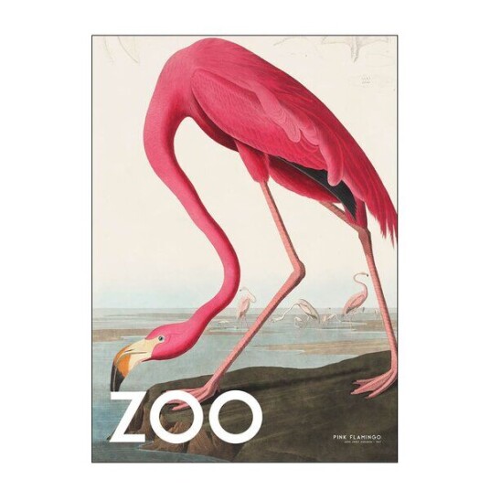 Poster & Frame A.P. Atelier poster 50x70 cm the zoo collection pink flamingo edt. 002 Poster & Frame A.P. Atelier poster 50x70 cm the zoo collection pink flamingo edt. 002