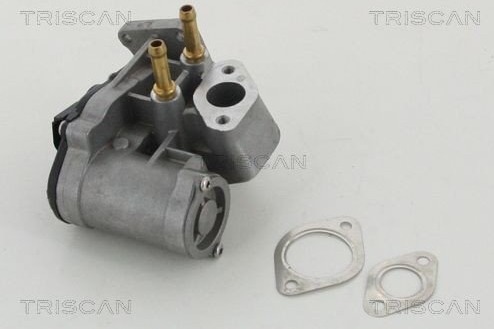 EGR-ventil TRISCAN 8813 29017