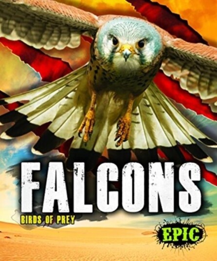 Falcons Falcons