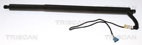Baklukedemper TRISCAN 8710 11306
