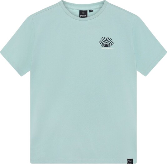 Indian Blue Jeans T skjorte   Eter m. Trykk   Indian Blue Jeans   12 år 152   T skjorte   Blå
