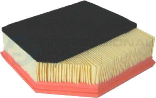 Luftfilter Professional Parts 24436833