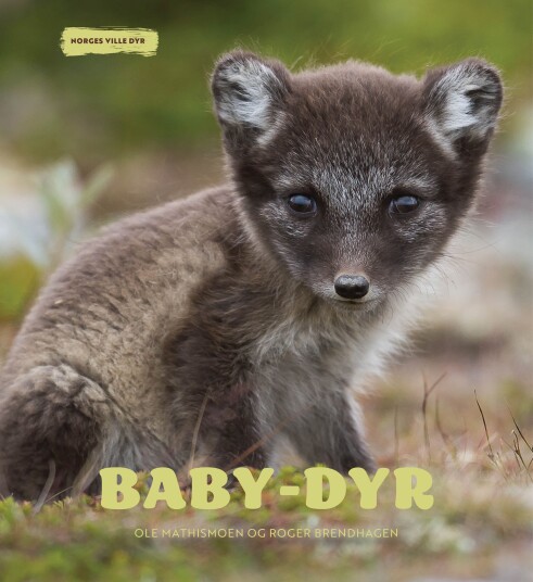 Babydyr Babydyr