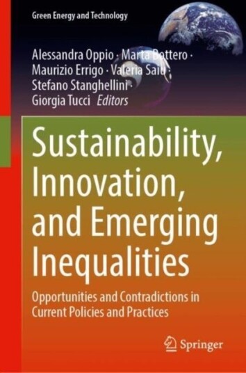 Sustainability Innovation and Emerging Inequalities
