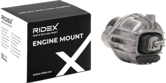 RIDEX 247E0443 Motorfeste