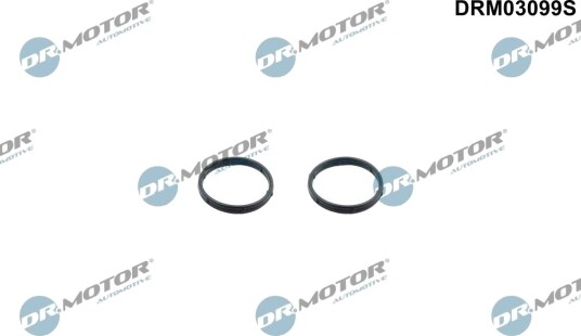 DR.MOTOR AUTOMOTIVE DRM03099S Pakningssett, oljepumpe