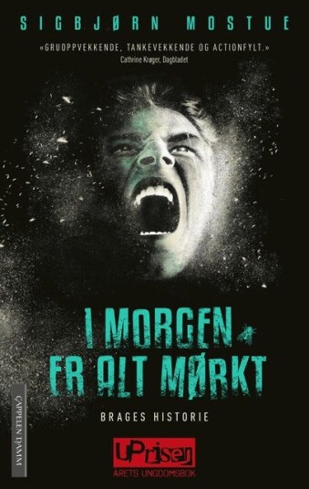 Brages Historie Av Sigbjørn Mostue