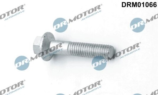 Bolt, innsprøytningsdyse holder Dr.Motor Automotive DRM01066