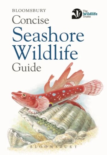 Concise Seashore Wildlife Guide Av Bloomsbury