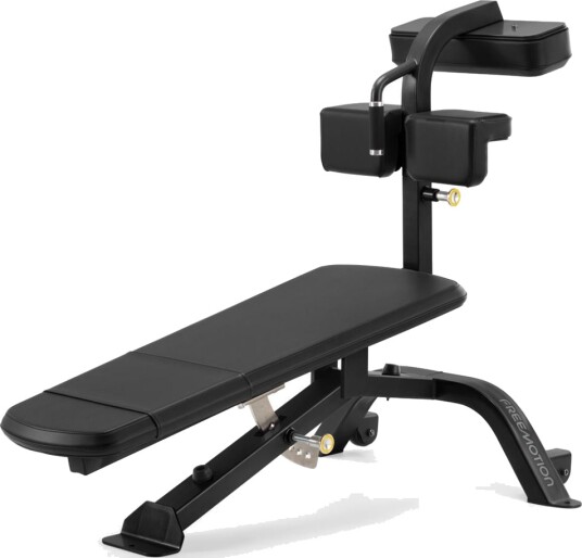 Freemotion Epic Free Weight Ab Bench, Magebenk Freemotion Epic Free Weight Ab Bench, Magebenk