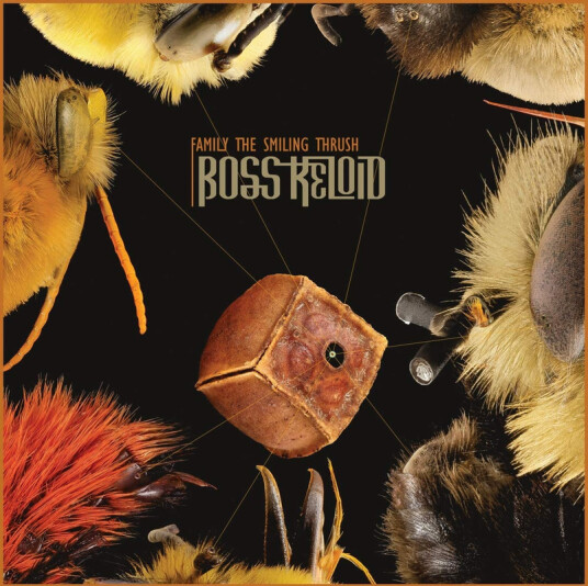 Boss Keloid Family The Smiling Thrush CD