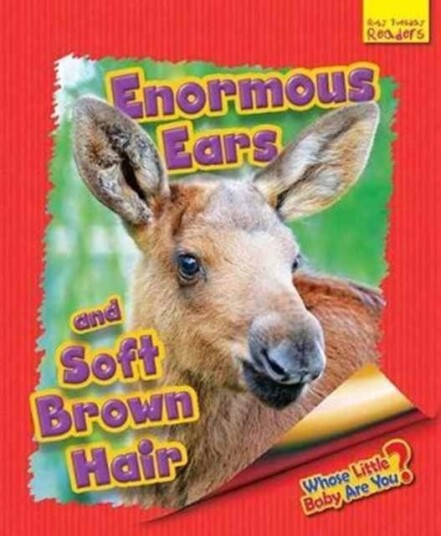 Whose Little Baby are You? Enormous Ears and Soft Brown Hair Whose Little Baby are You? Enormous Ears and Soft Brown Hair