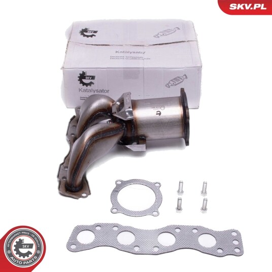 Katalysator ESEN SKV 62SKV023