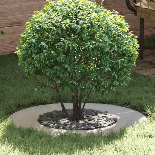Galvanisert Metallplante Galvanisert Galvanisert Jern Stor Galvanisert Metallplante Galvanisert Galvanisert Jern Stor