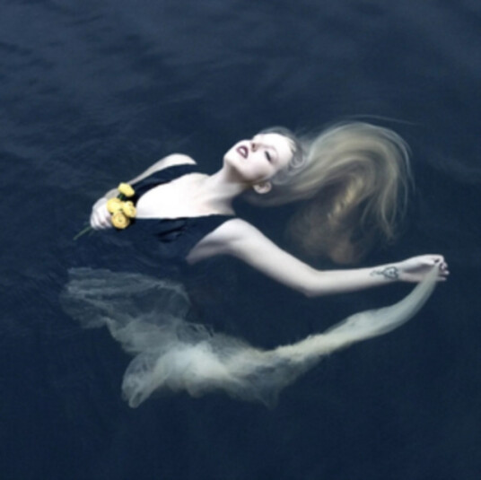 Sylvaine Silent Chamber Noisy Heart CD