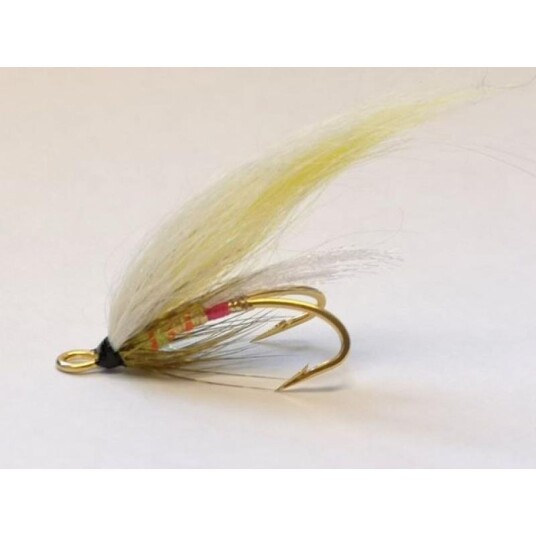 Arctic Import Yellow Belly DB - 8