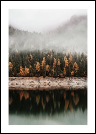 Foggy Autumn Forest Near the Lake Plakat Plakat / 30x40cm