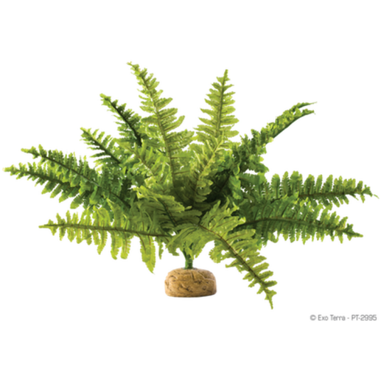 Exo Terra Boston Fern Rainforest Jungle Ground Plants Green Medium